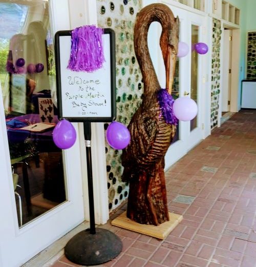 Purple Martins Baby Shower