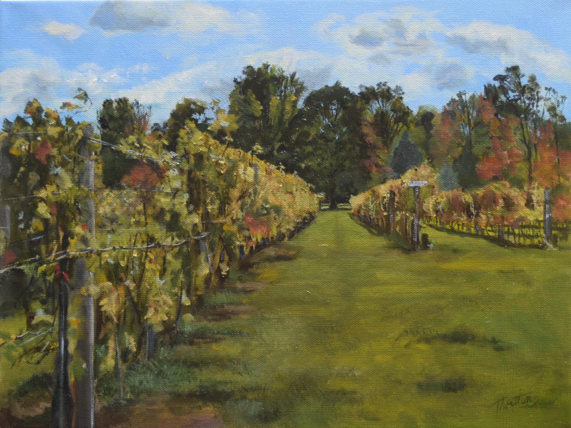 Thorsten Riesling Row oil on canvas