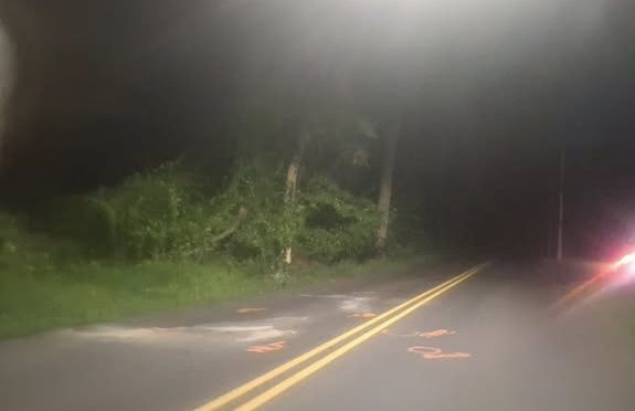 bristol township News
