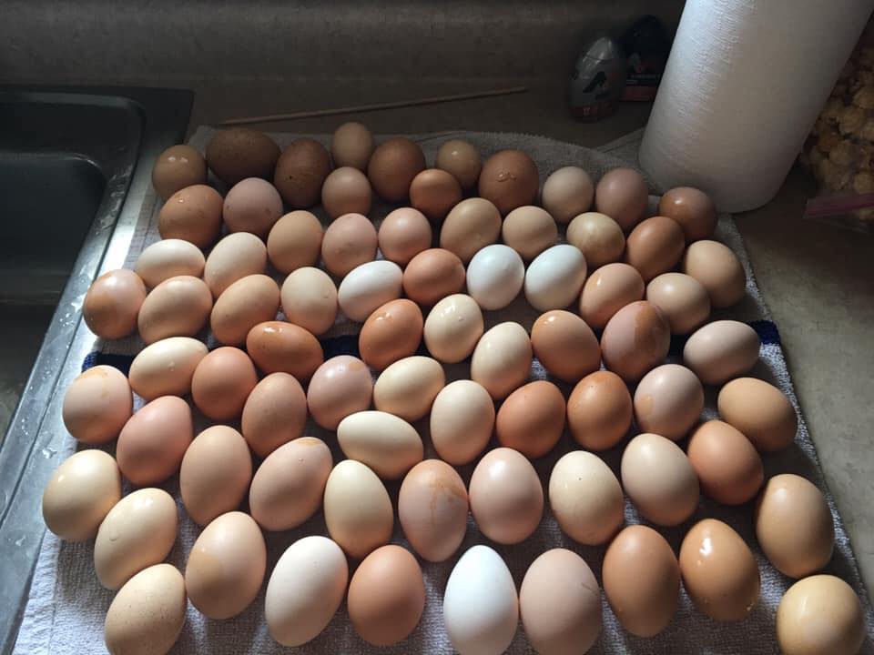 Hidden Valley Eggs