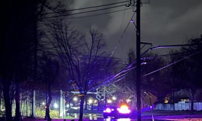 Credit: Styer Orchard