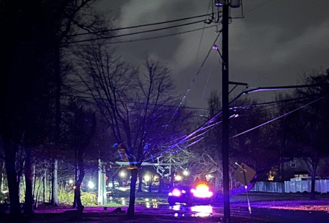 Credit: Styer Orchard